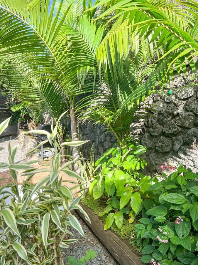 L'Eden - Villa Cosy A Sainte-Clotilde 外观 照片